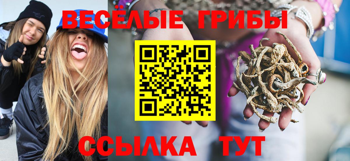 продажа наркотиков  Псилоцибиновые грибы мухоморы  Вход с VPN  Галлюциногенные грибы ЛСД  Нижневартовск 